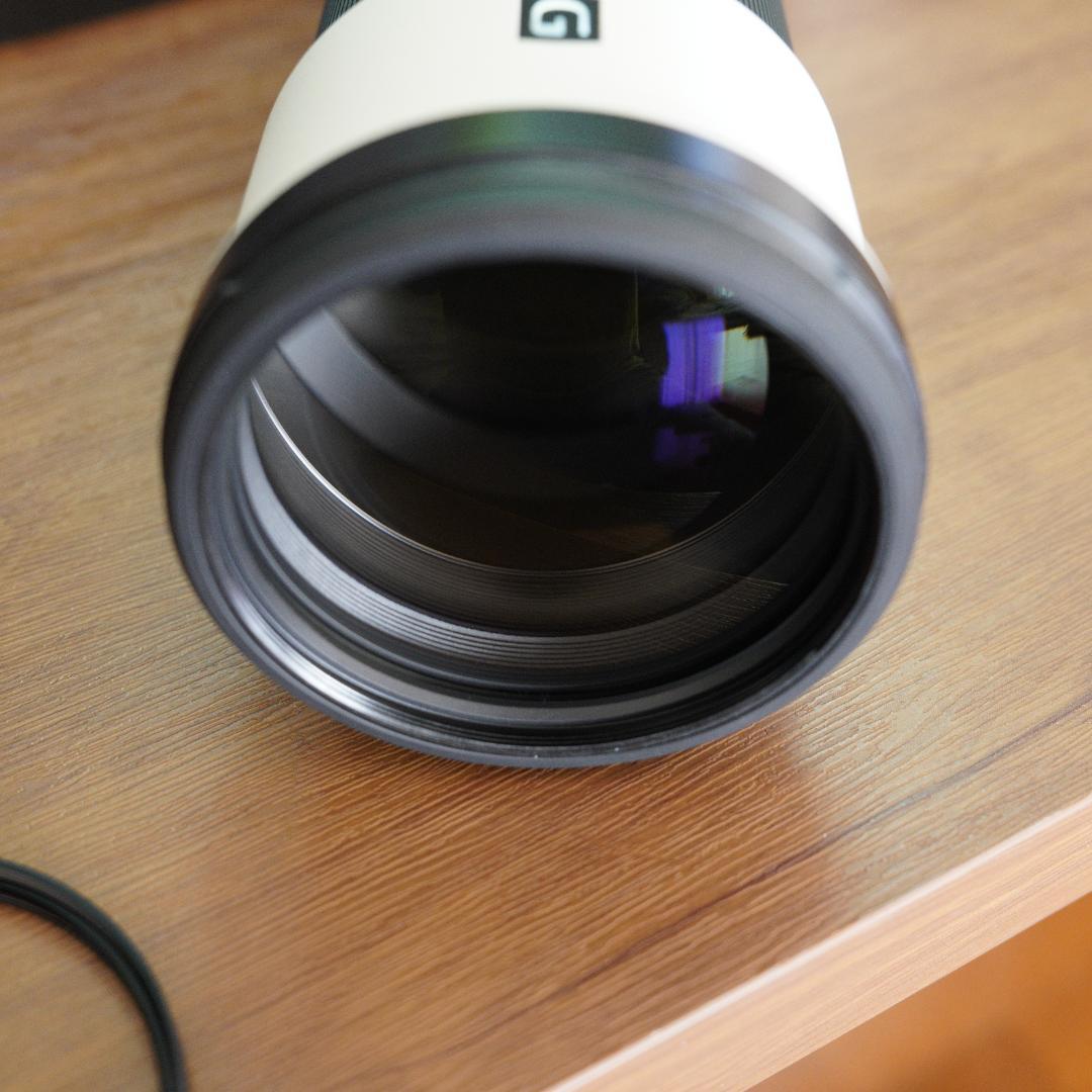 レンズ(ズーム) SONY SEL200600G