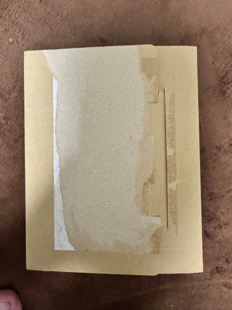 ミュージック BADHOP TOKYO DOME LIVE VIDEO