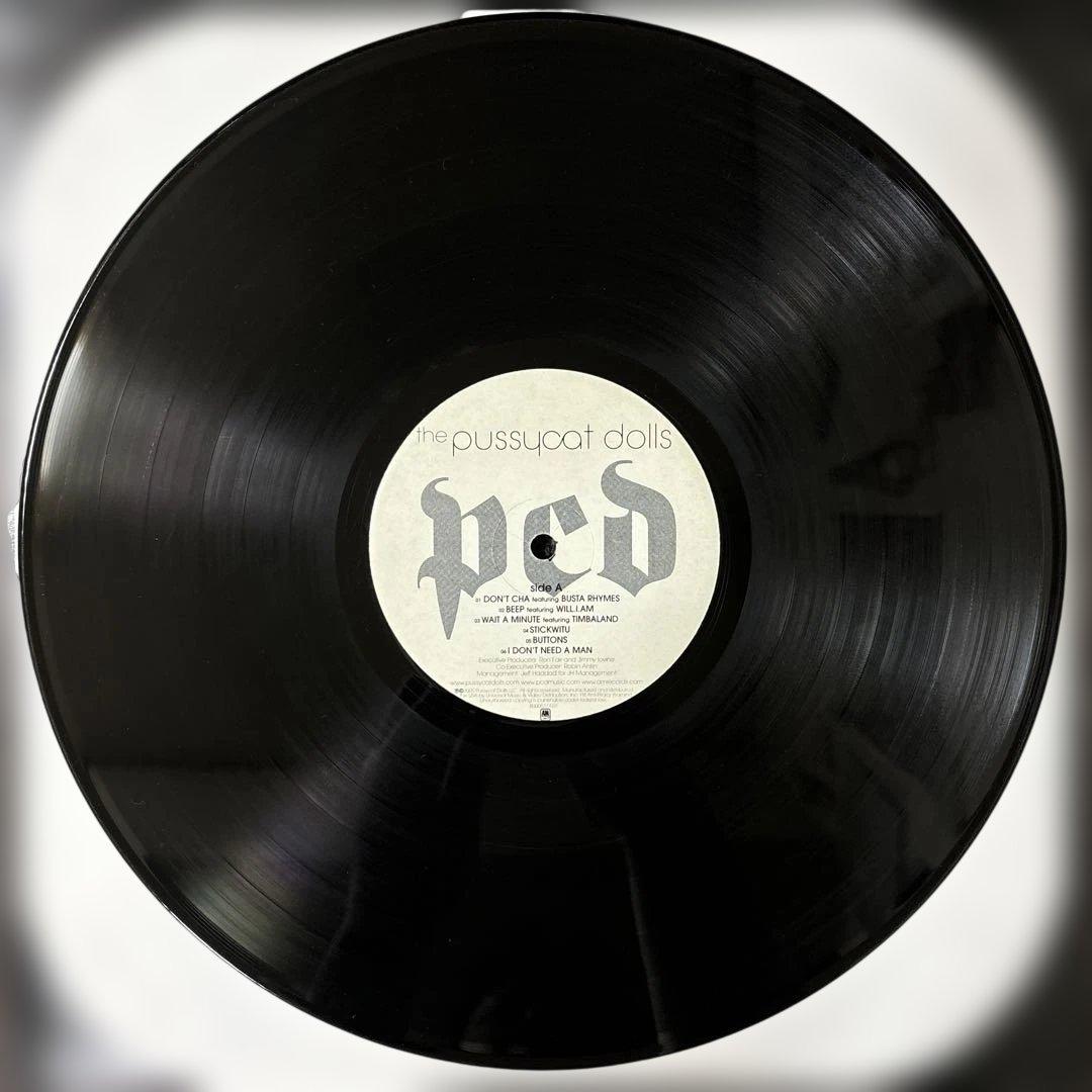 ⭐︎レア盤⭐︎the pussycat dolls / pcd（美品）送料無料