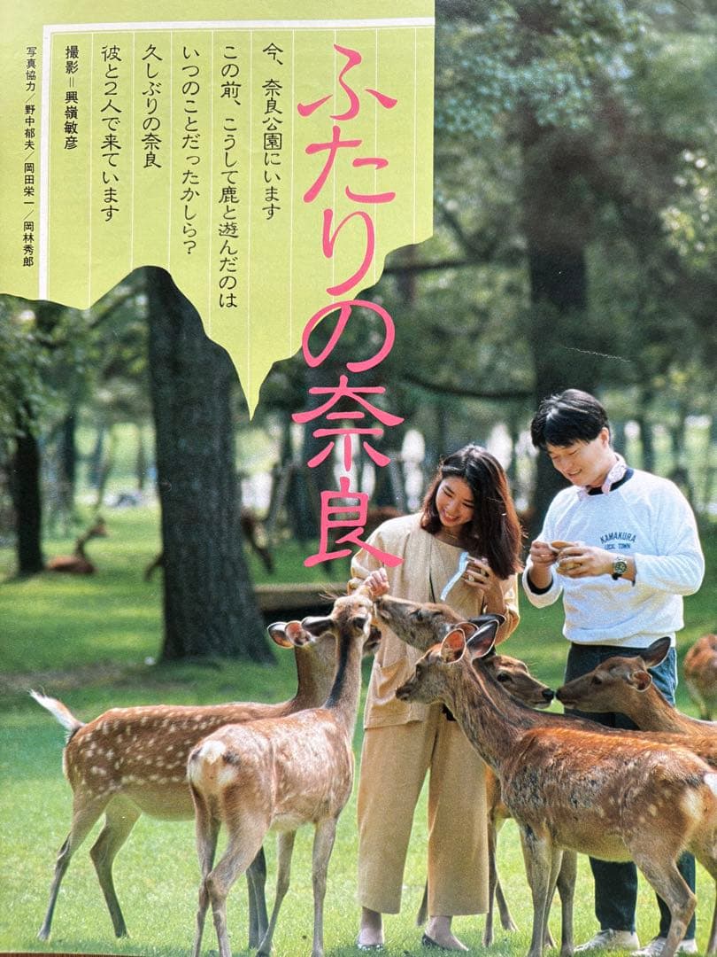 るるぶ 奈良・大和路・紅葉の日光・尾瀬　1984年