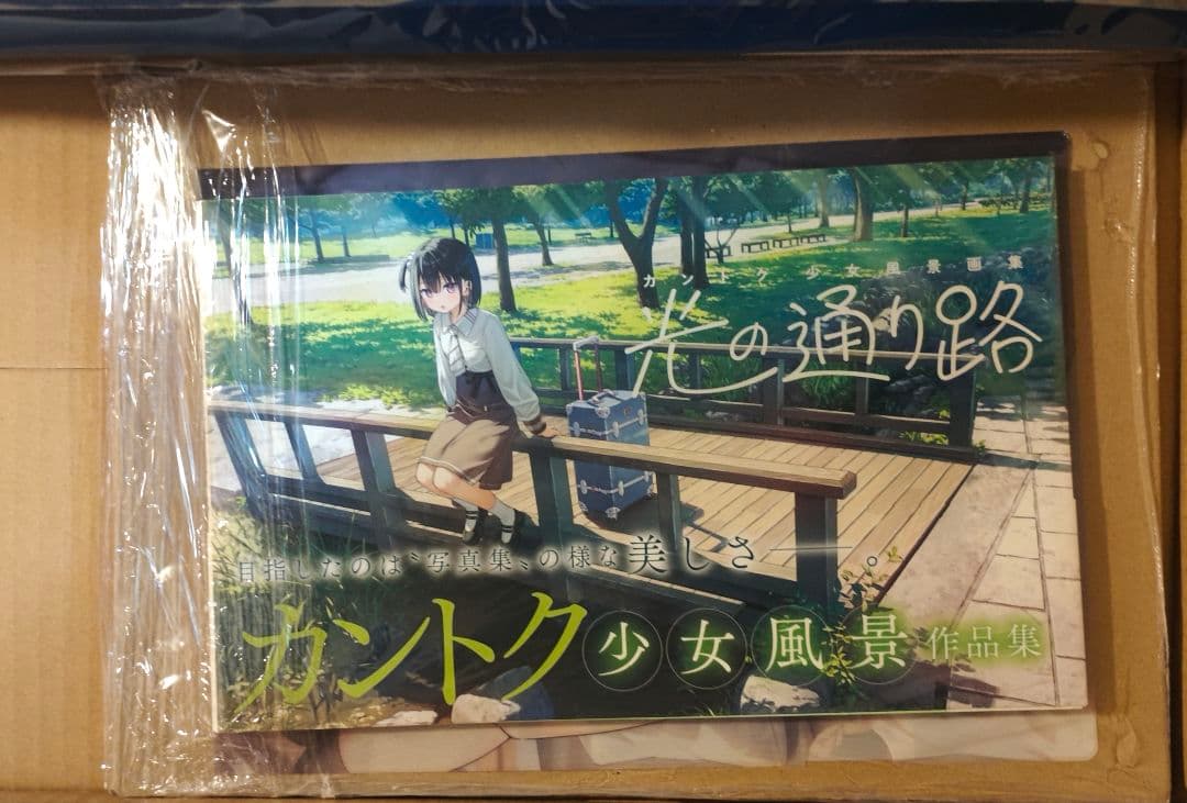 光の通り路 カントク少女風景画集 紙書籍