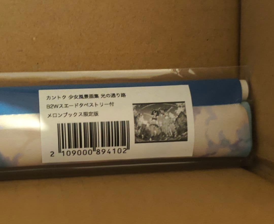 光の通り路 カントク少女風景画集 紙書籍