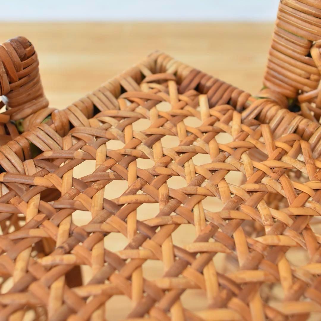 Danny Ho Fong Tropi-cal ラタン　01