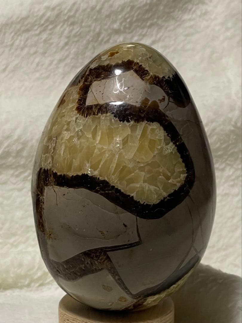 セプタリアン たまご形　存在感抜群の1kg台座付き