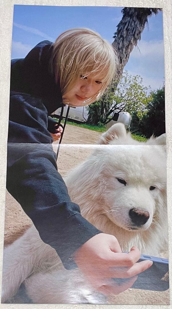 Wisp If Not Winter 限定版 LP レコード　レア 希少