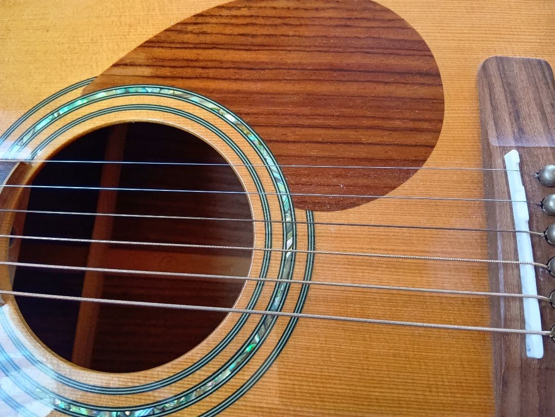 ギター Greg Bennett