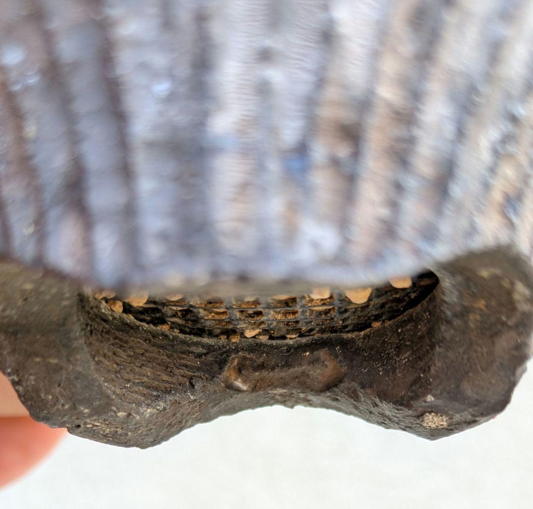 専用！ひまいつ様