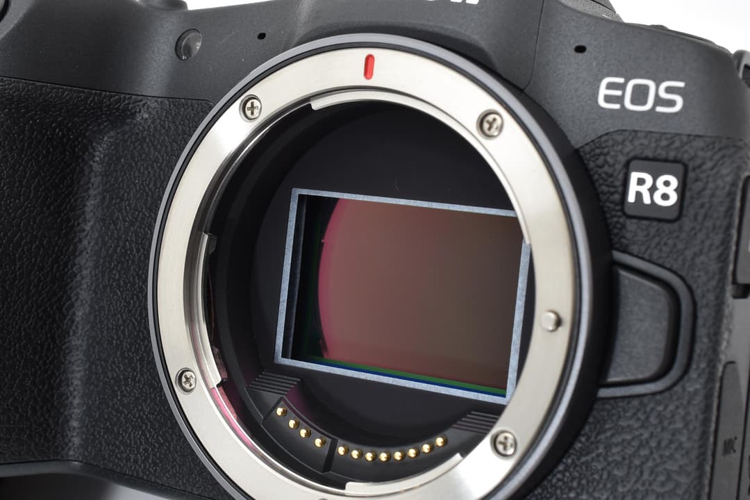 ■極上品■ キヤノン EOS R8 ミラーレス #C626