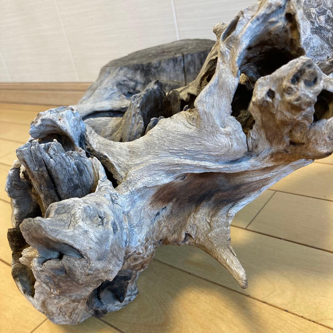 花台　木製花台　流木　古木　盆栽台　生花　天然木　多肉植物　寄植え　切り株　置物