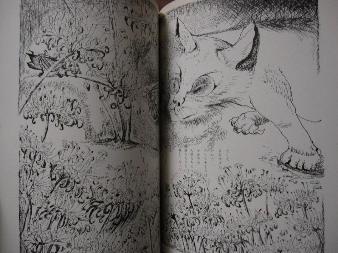 木葉井悦子　耳界　帯付き