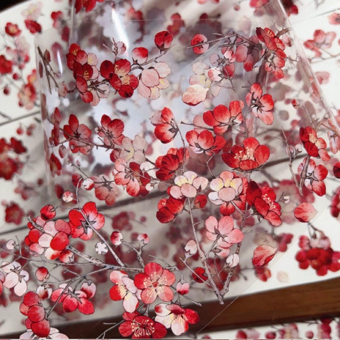 PET 染红梅 7cm×6m 海外マスキングテープ　海外マステ