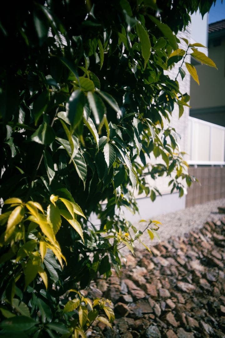 【ライカ】Elmarit-M 28mm f2.8 9枚玉 レッドスケール