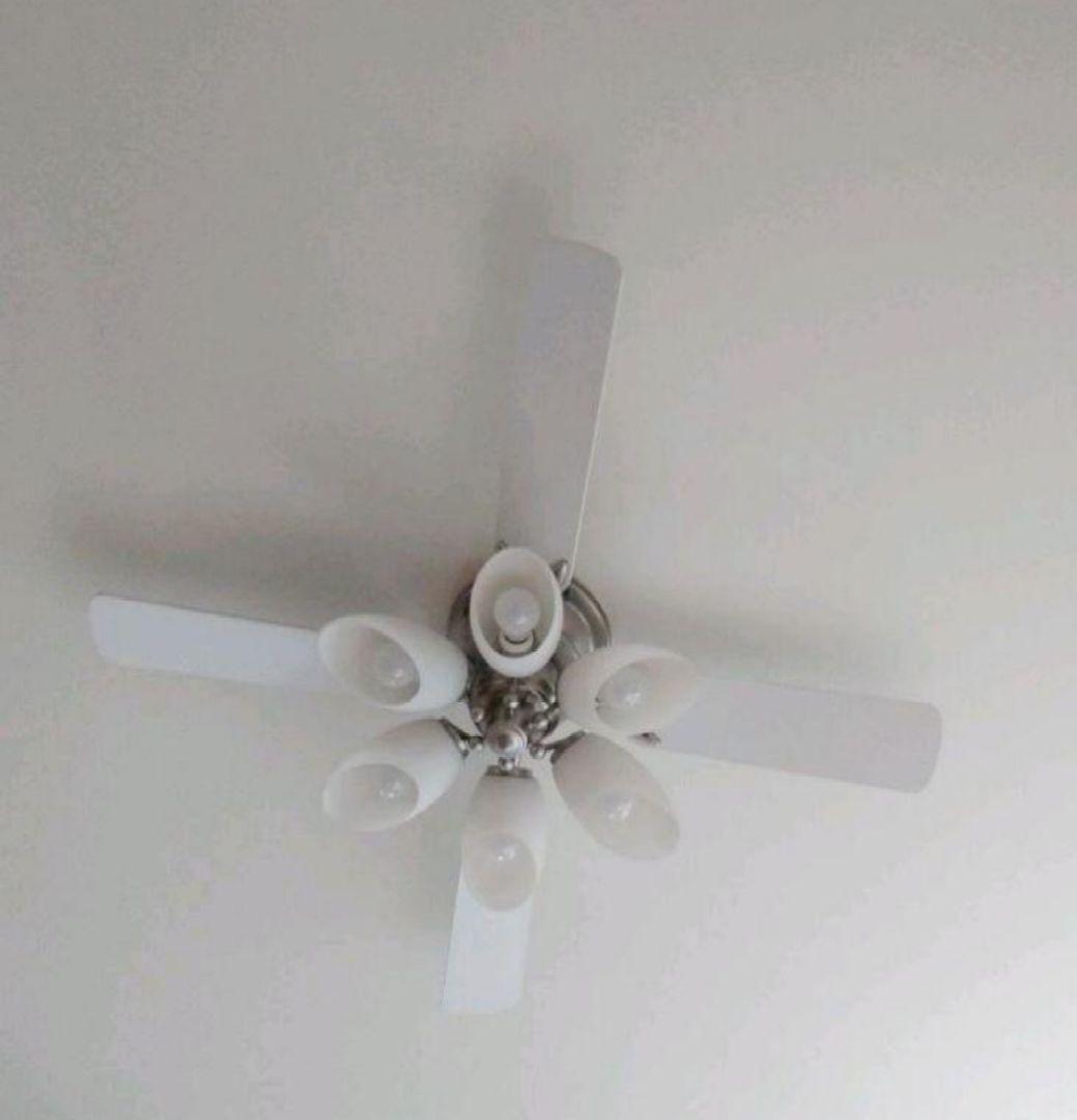 シャンデリア　シーリングファン　電気　ファン　電球　照明　インテリア　ライト