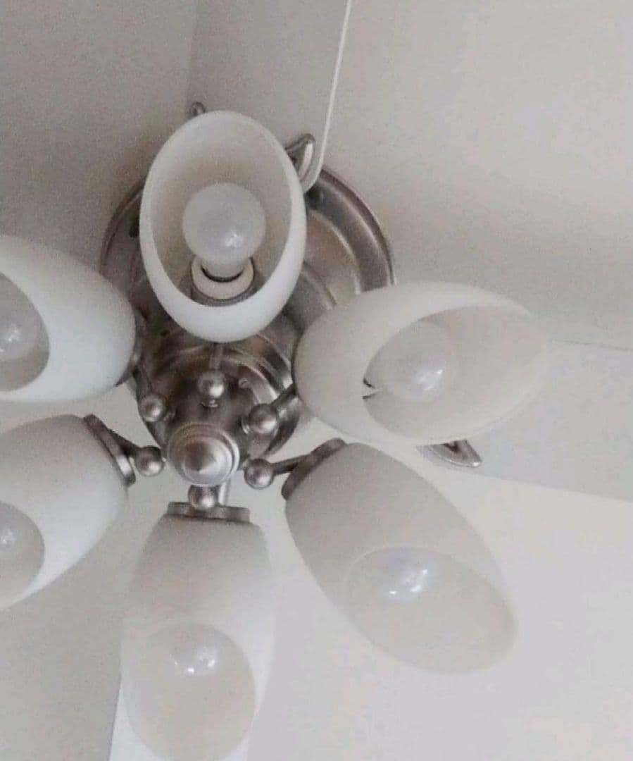 シャンデリア　シーリングファン　電気　ファン　電球　照明　インテリア　ライト