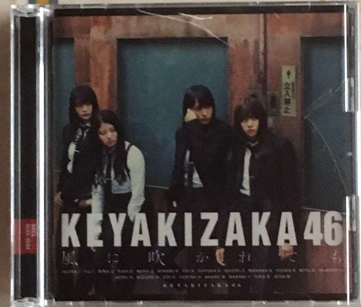 欅坂46・平手友梨奈・CD/DVD/雑誌など