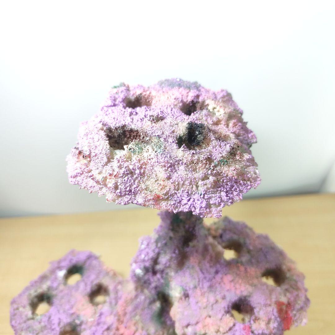 プラグ穴付き アク抜き不要人工ライブロック 海水水槽 レプリカ コーラルフラグ1