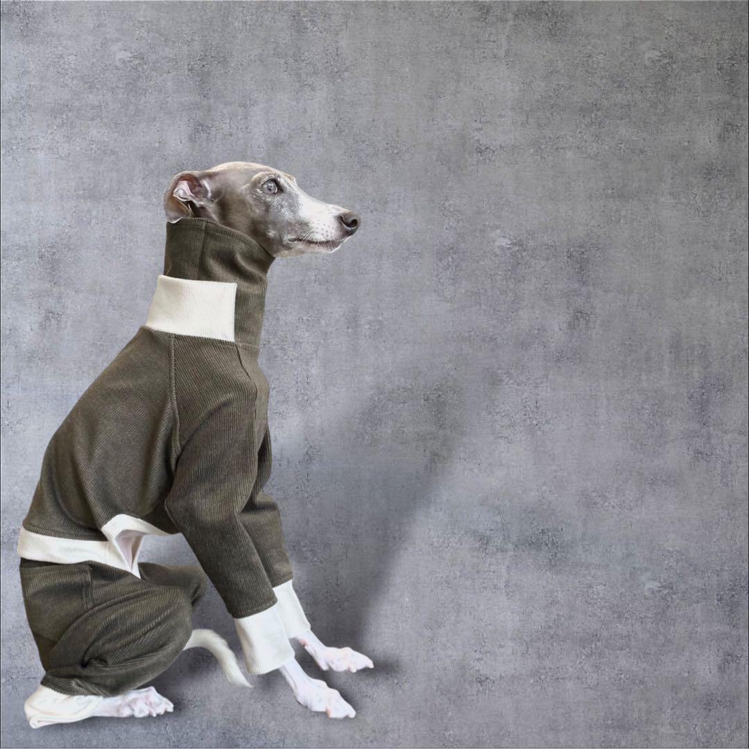 ⑪コーデュロイ イン パリ