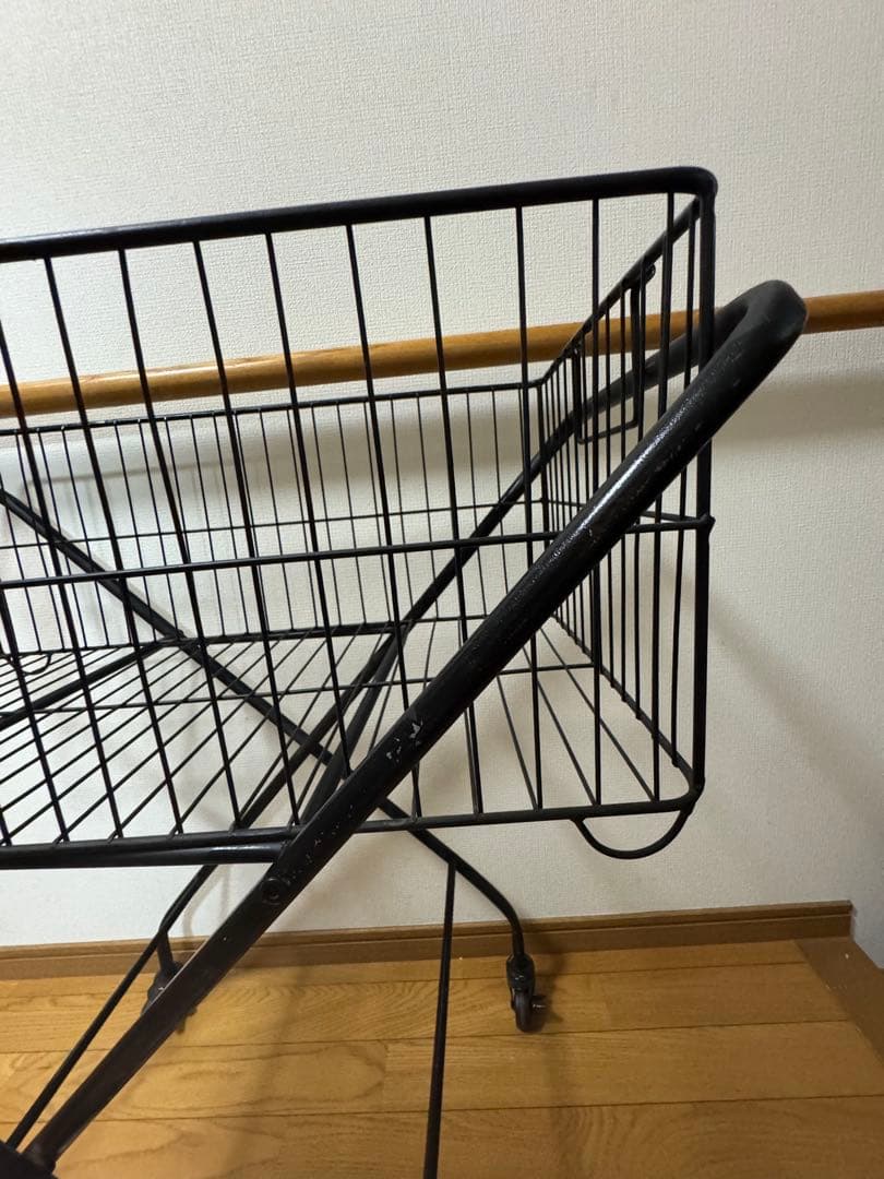 ジャーナルスタンダード　カート