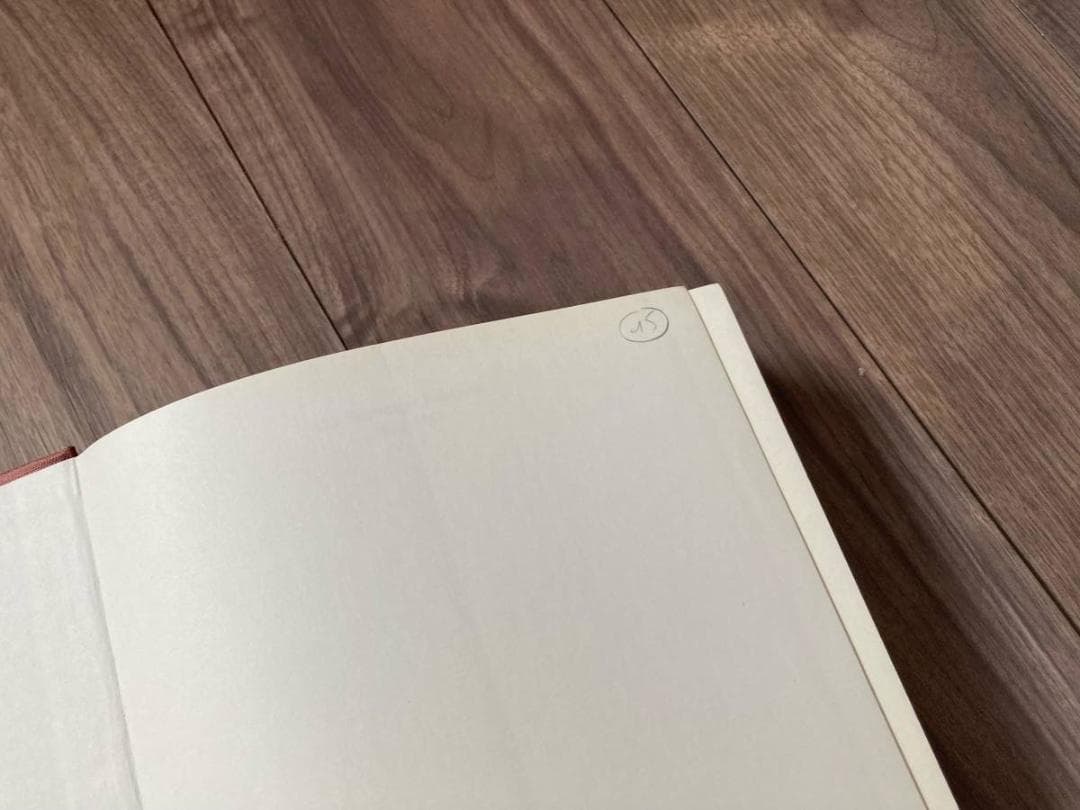 洋書 ザルツブルク音楽祭 DIE SALZBURGER FESTSPIELE