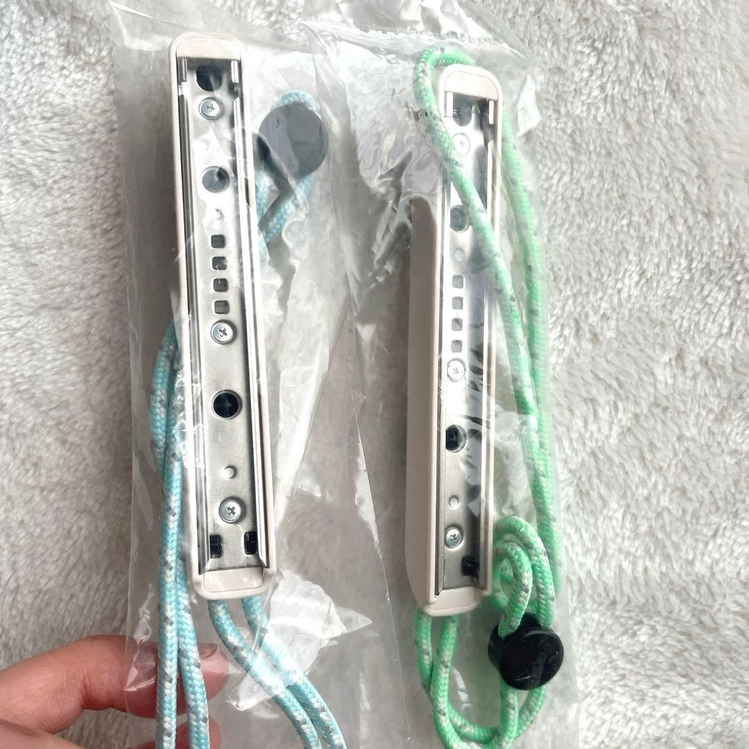 Nintendo Switch あつまれどうぶつの森セット 本体 付属品完備