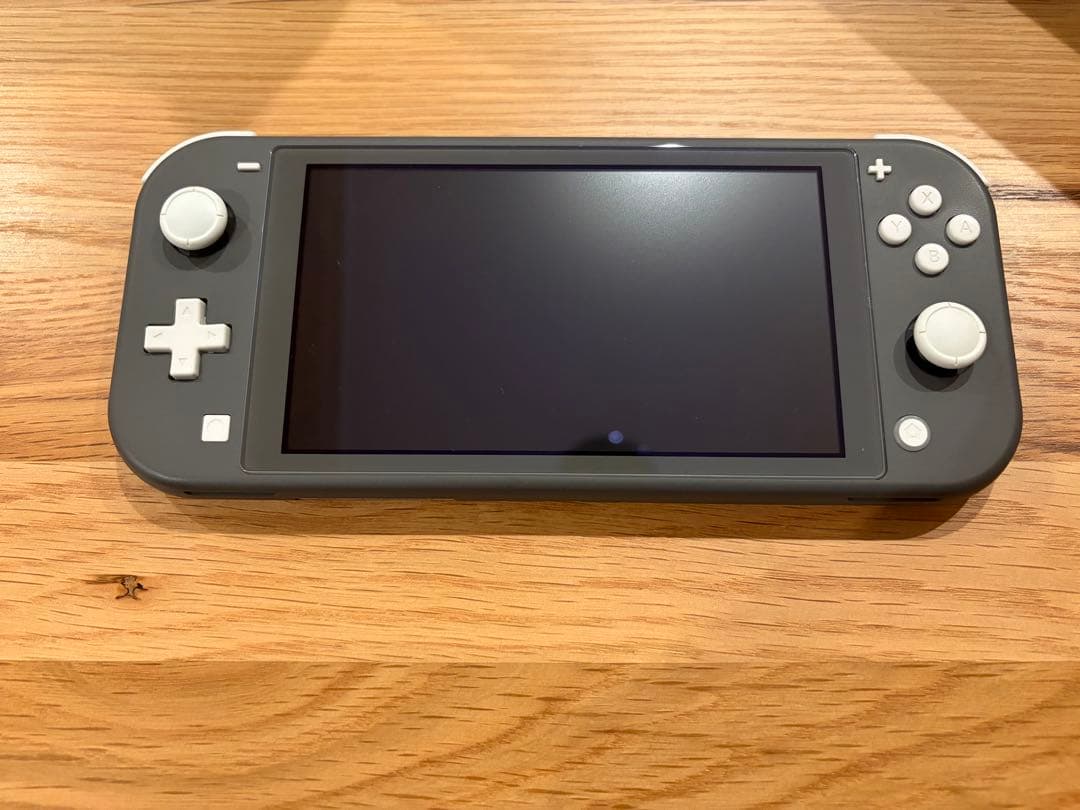 Nintendo Switch Lite グレー 本体+ゲーム