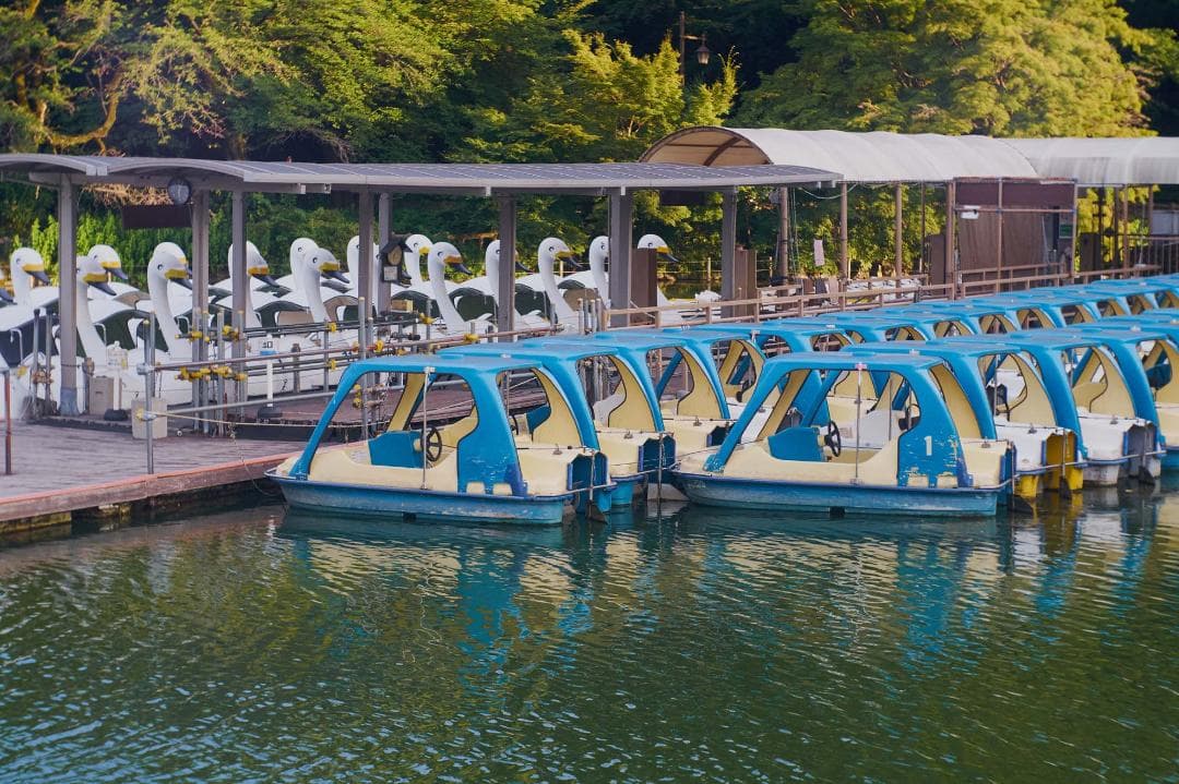 Meyer-Optik Trioplan 50mm F2.9 M42改造