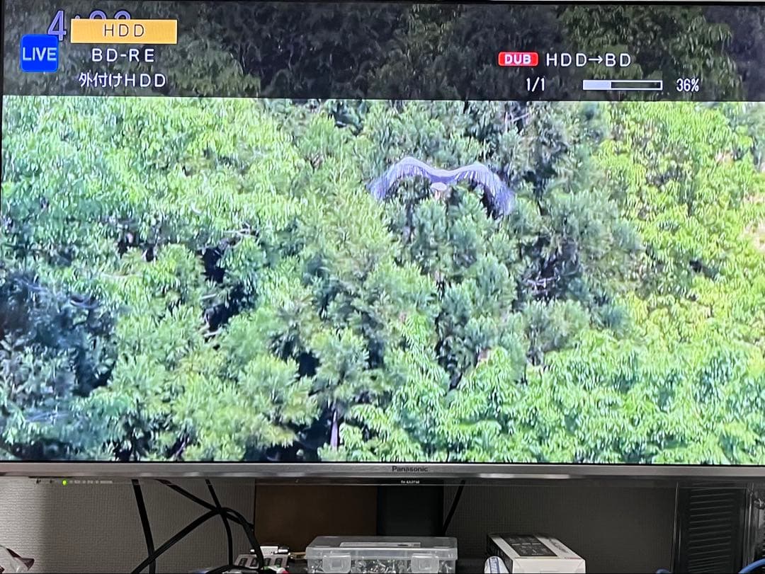 4K 2番組録画　シャープ　ブルーレイレコーダー　BD-NW510