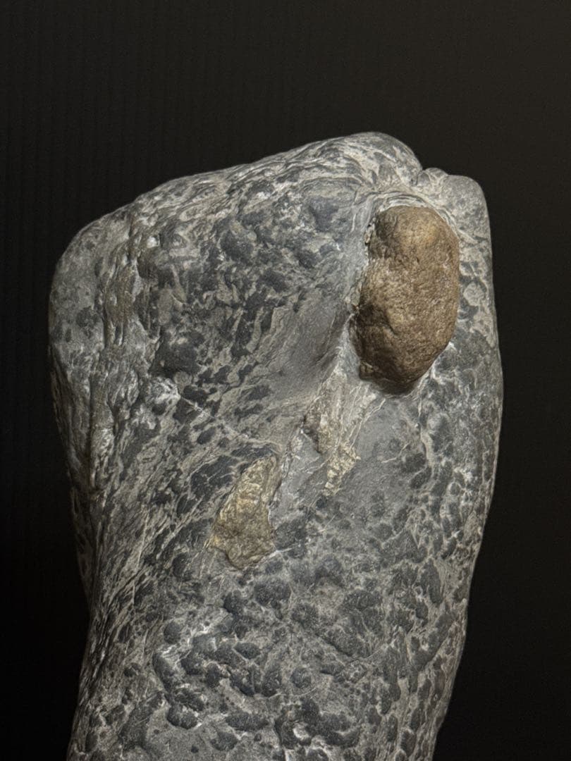 極上 瀬田石 水石 蟹肌 観音像型 瀬田川石 置物 唐木台付 盆景 盆栽