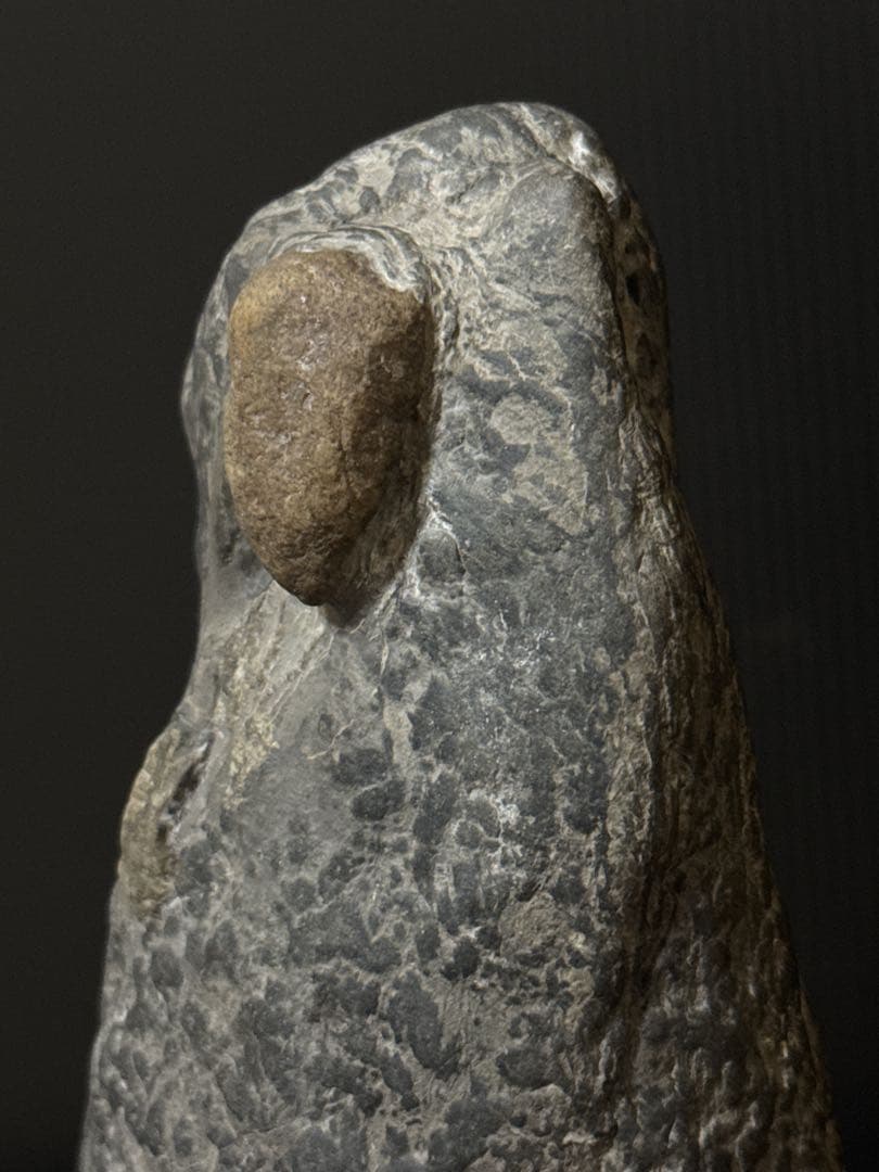 極上 瀬田石 水石 蟹肌 観音像型 瀬田川石 置物 唐木台付 盆景 盆栽