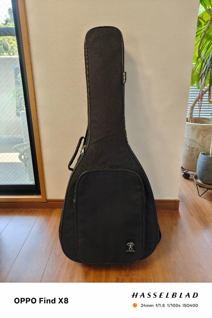 アヌエヌエ aNueNue Bird Guitar aNN-M1