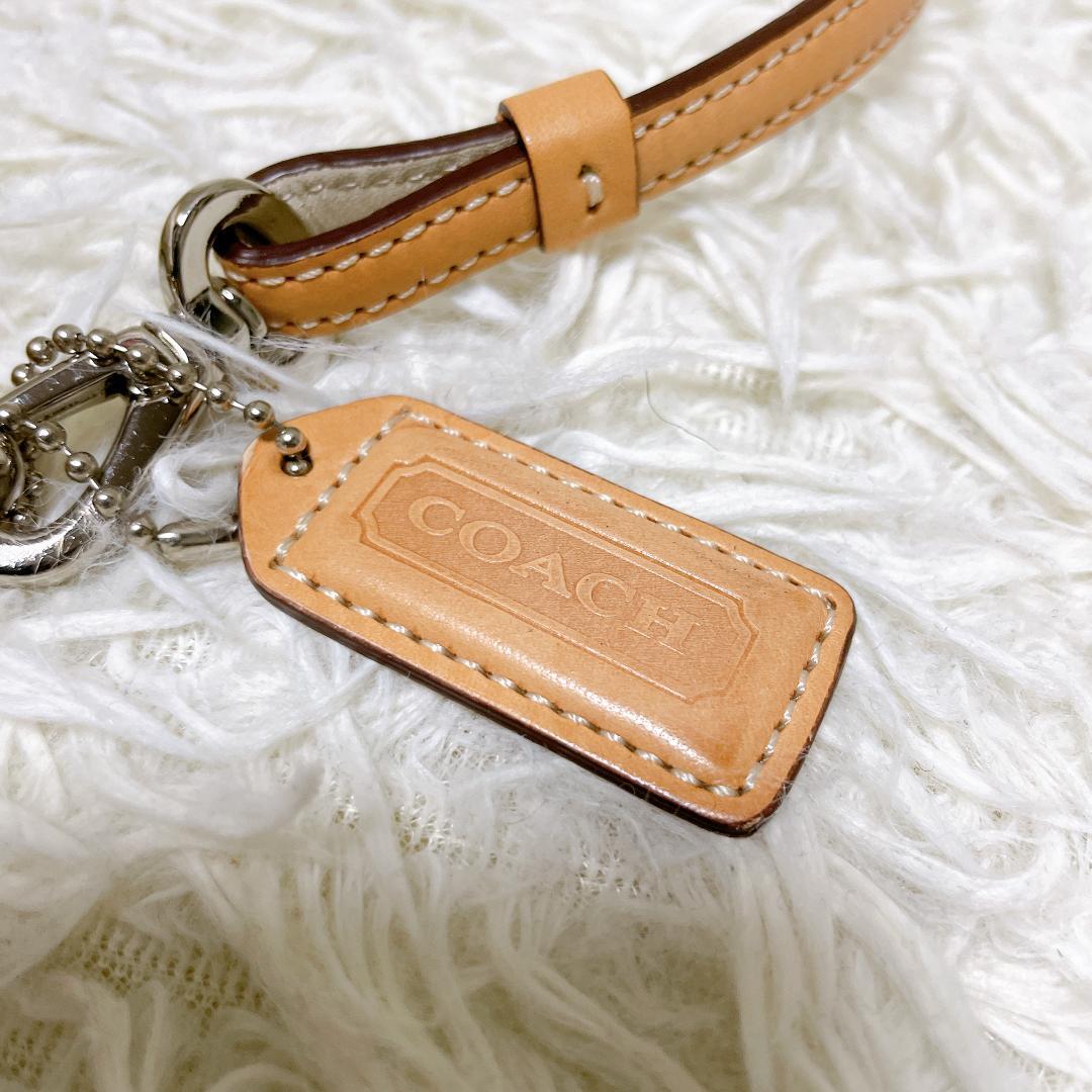 美品 COACH アクセサリーポーチ ハンドバッグ シグネチャー ハンドバッグ