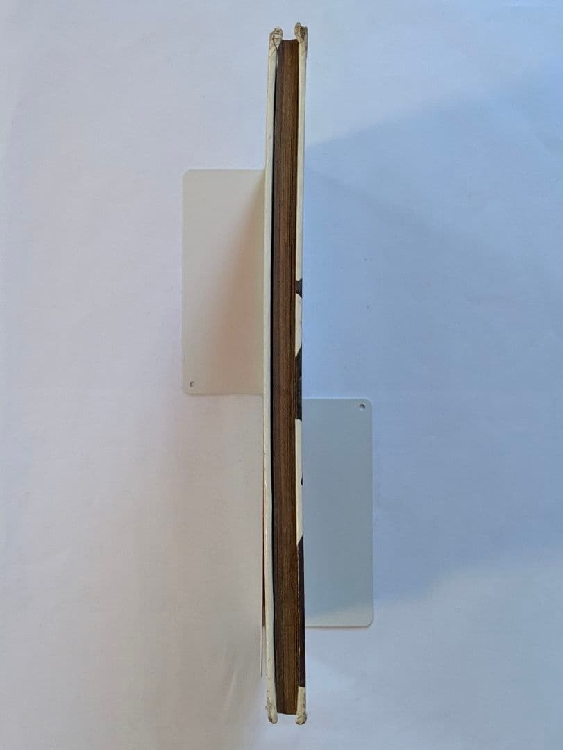 宇宙猿人ゴリ　すごいぞスペクトルマンの巻　カラーテレビ版怪獣絵ばなし　昭和レトロ