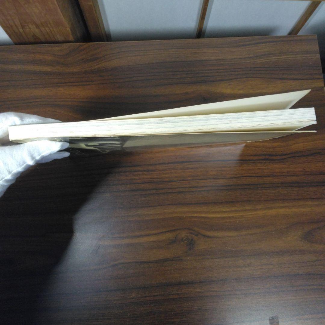 Architectural Visions　ペーパーバック版