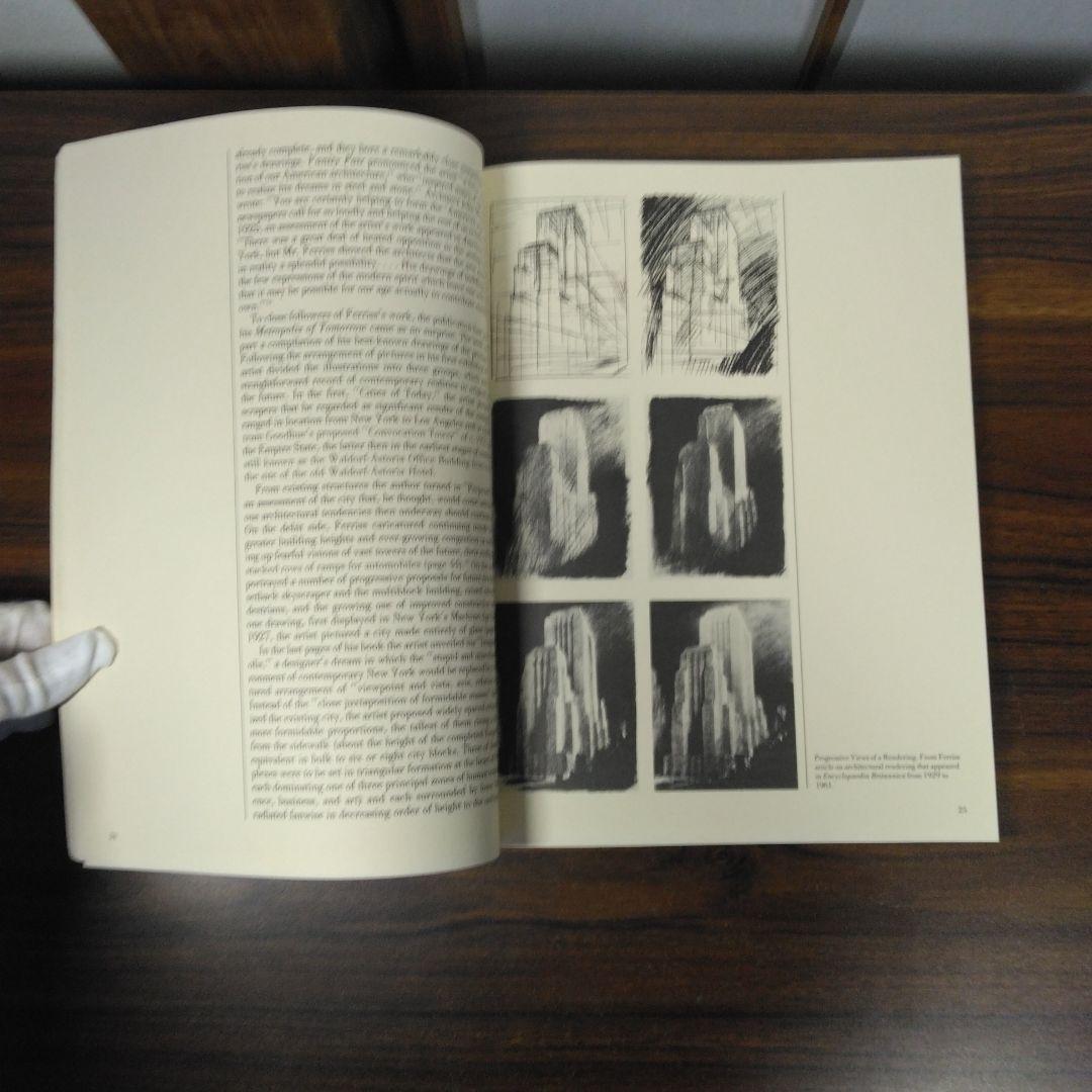 Architectural Visions　ペーパーバック版