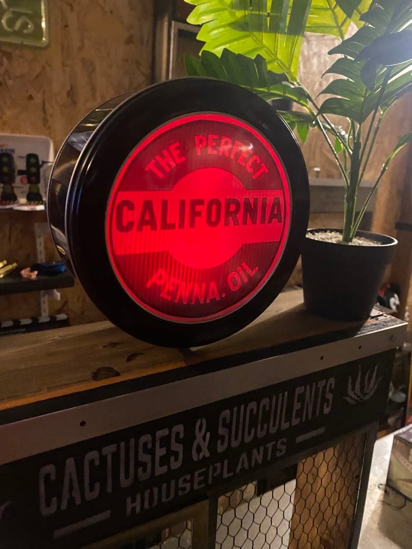 照明付き棚　多肉　アガベ　カルフォルニア　ドライガーデン