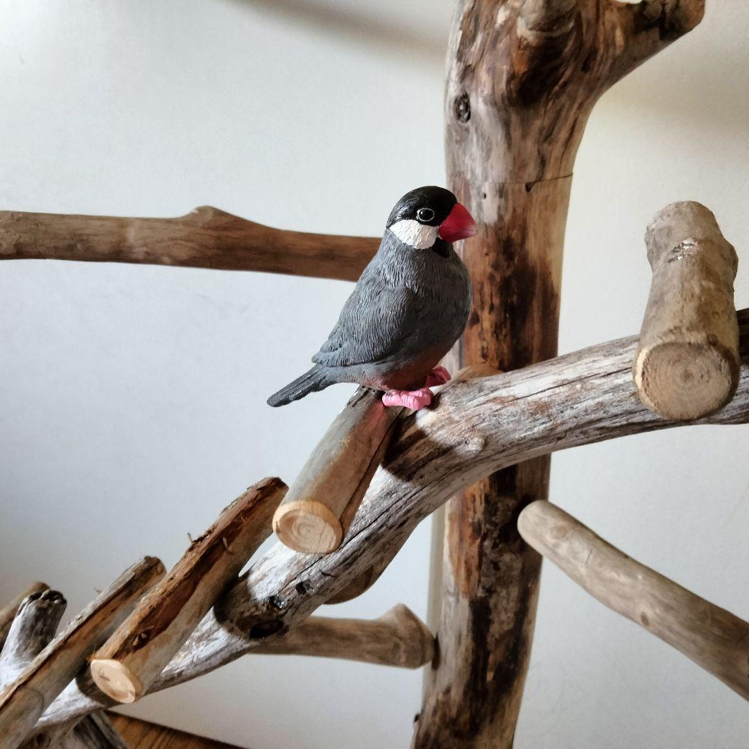 はな バードアスレチックジム ㊽ 天然木 自然木 止まり木 インコ オウム