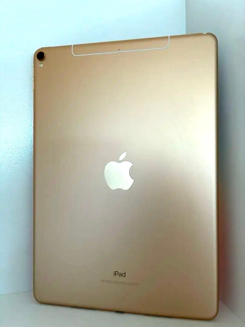 iPadPro 10.5㌅ 64GB 国内版セルラー　バッテリー最大容量93%