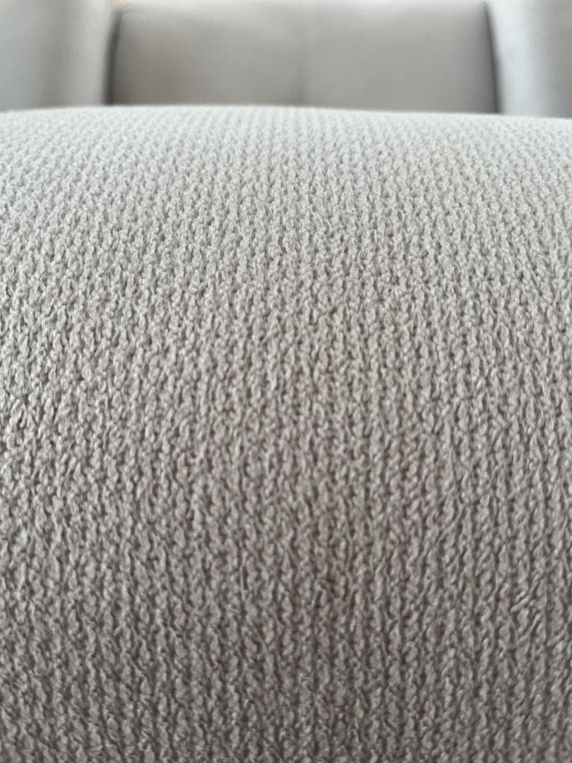 ニトリ 電動リクライニングチェア(起立補助機能付 アスティ)