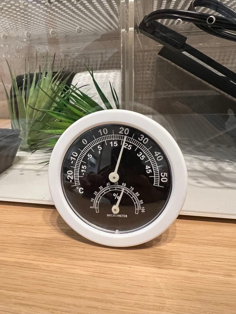 爬虫類飼育セット　2セット　ヒーター付き