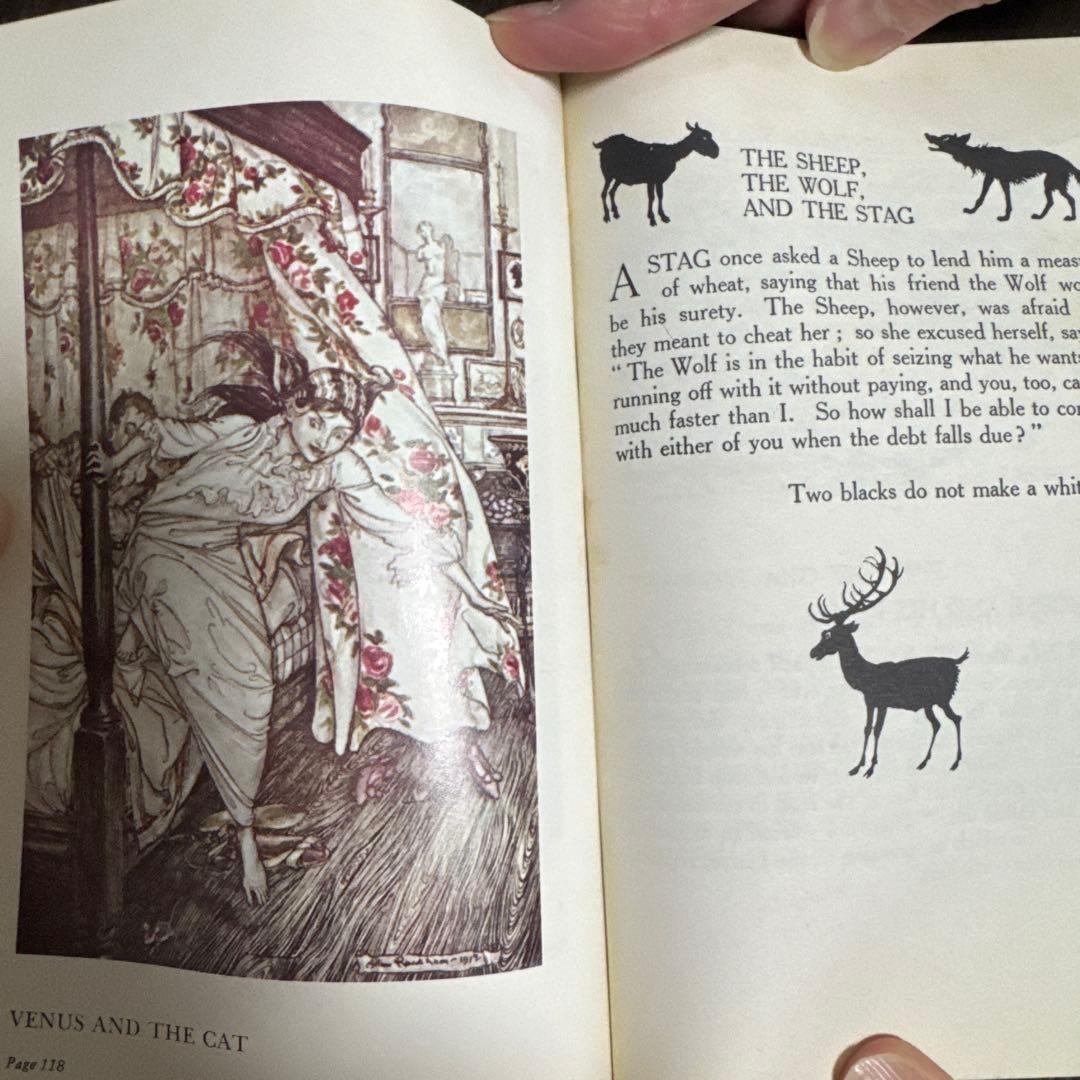 全編英語 AESOP'S FABLES 古本