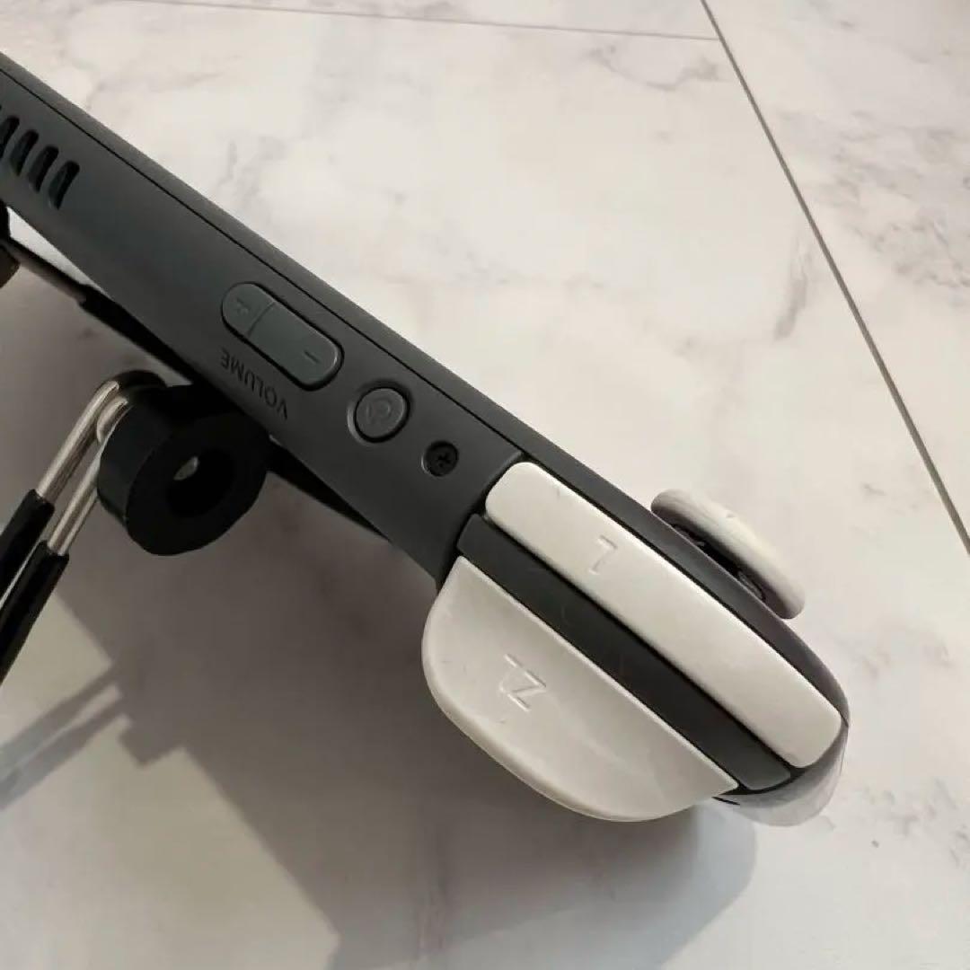 【ジャンク美品】Nintendo Switch Lite グレー ケースつき