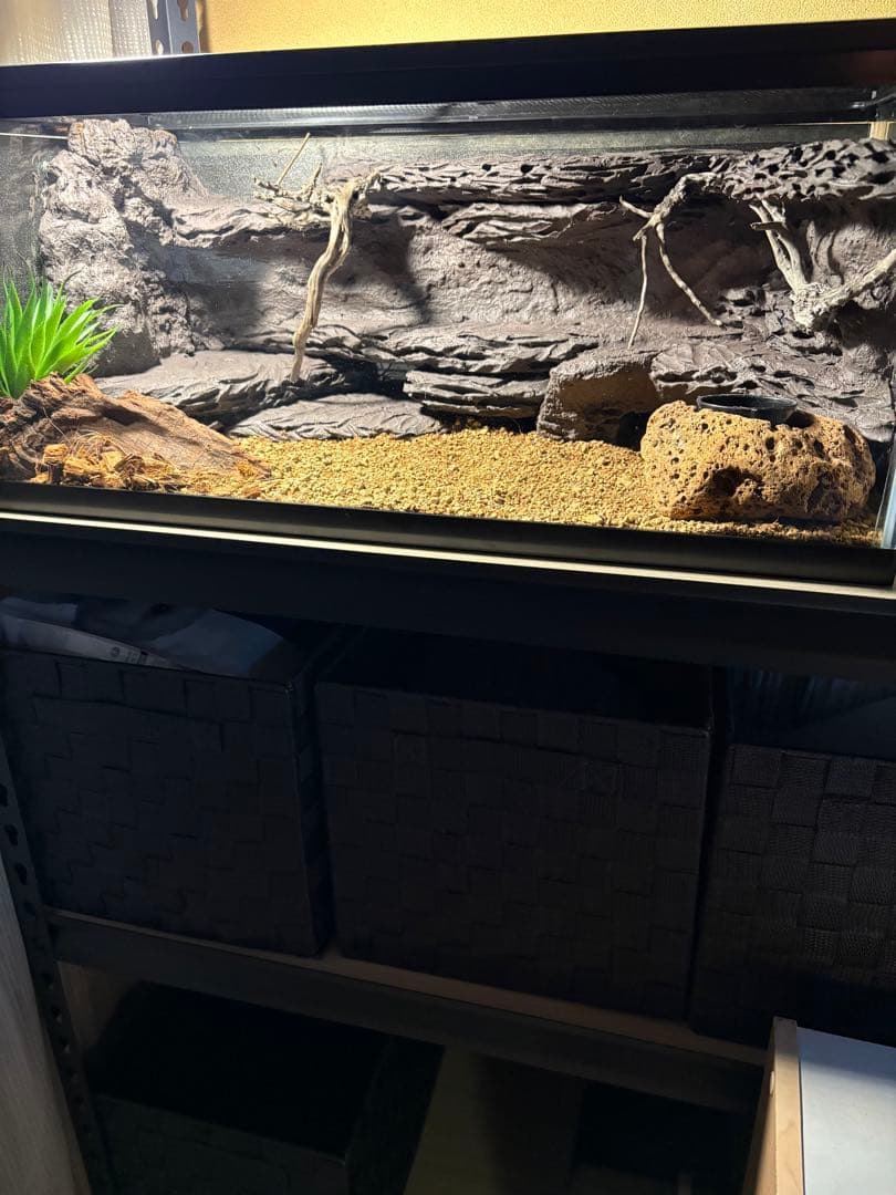 ガラス飼育ケージ レオパードゲッコー用