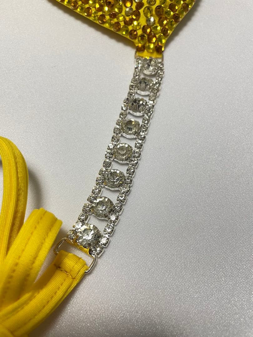 【FWJ】　大会用ビキニ　オーダー専用ページ