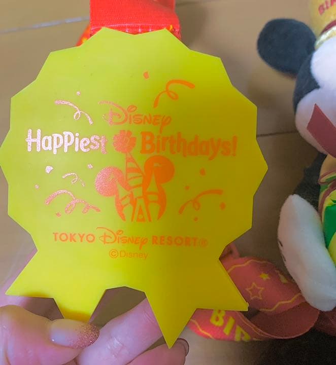 ミッキーのぬいぐるみ