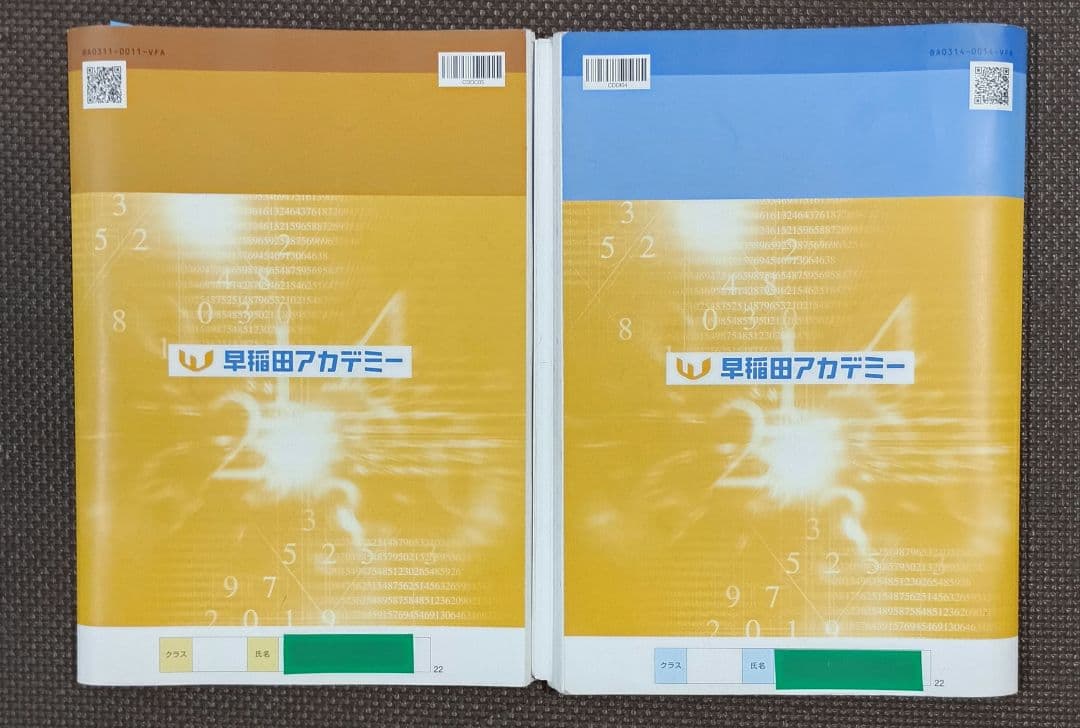 小4 夏期講習 早稲田アカデミー 早稲アカ　上位校