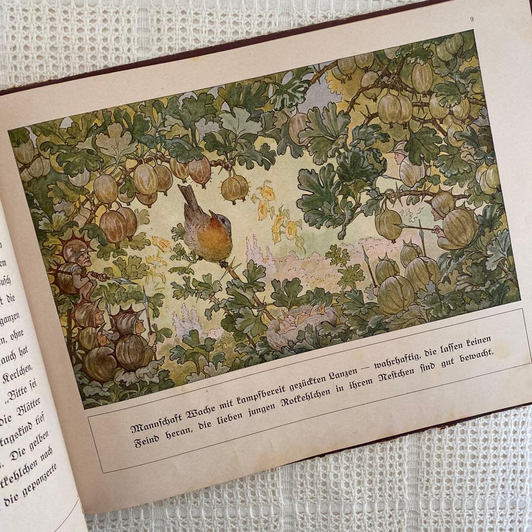 超希少 初版　ドイツの古い絵本　妖精　古書 アンティーク 洋書
