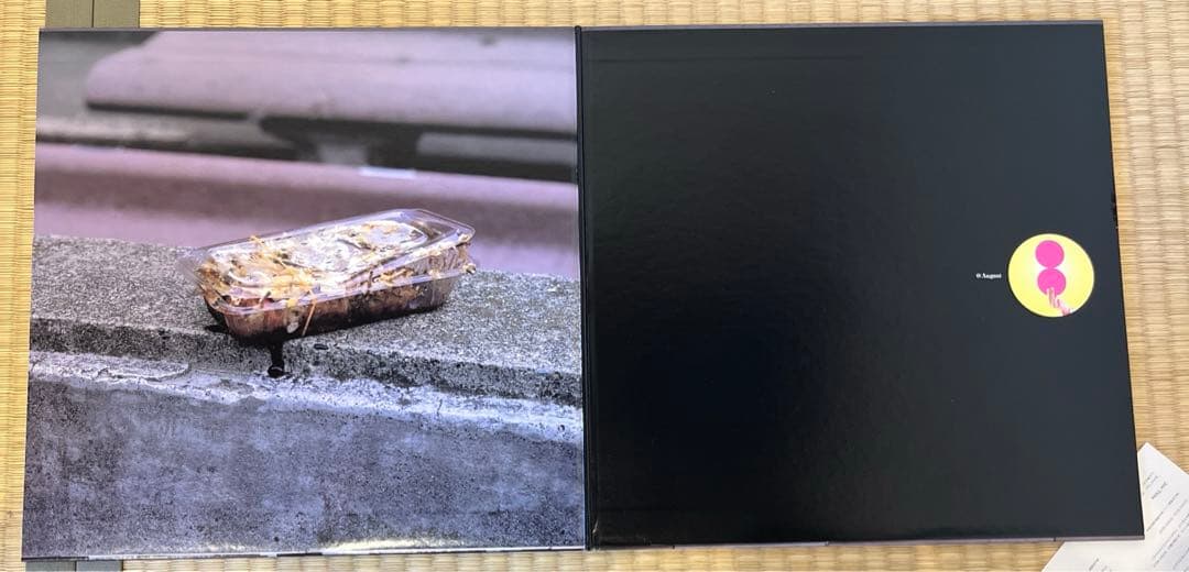 フィッシュマンズ　8月の現実 レコード