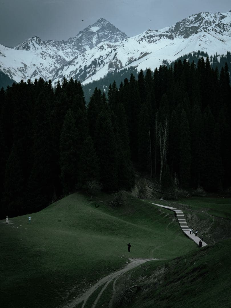 SIGMA24-70mm F2.8 DG DN Art レンズ＋ケース付き