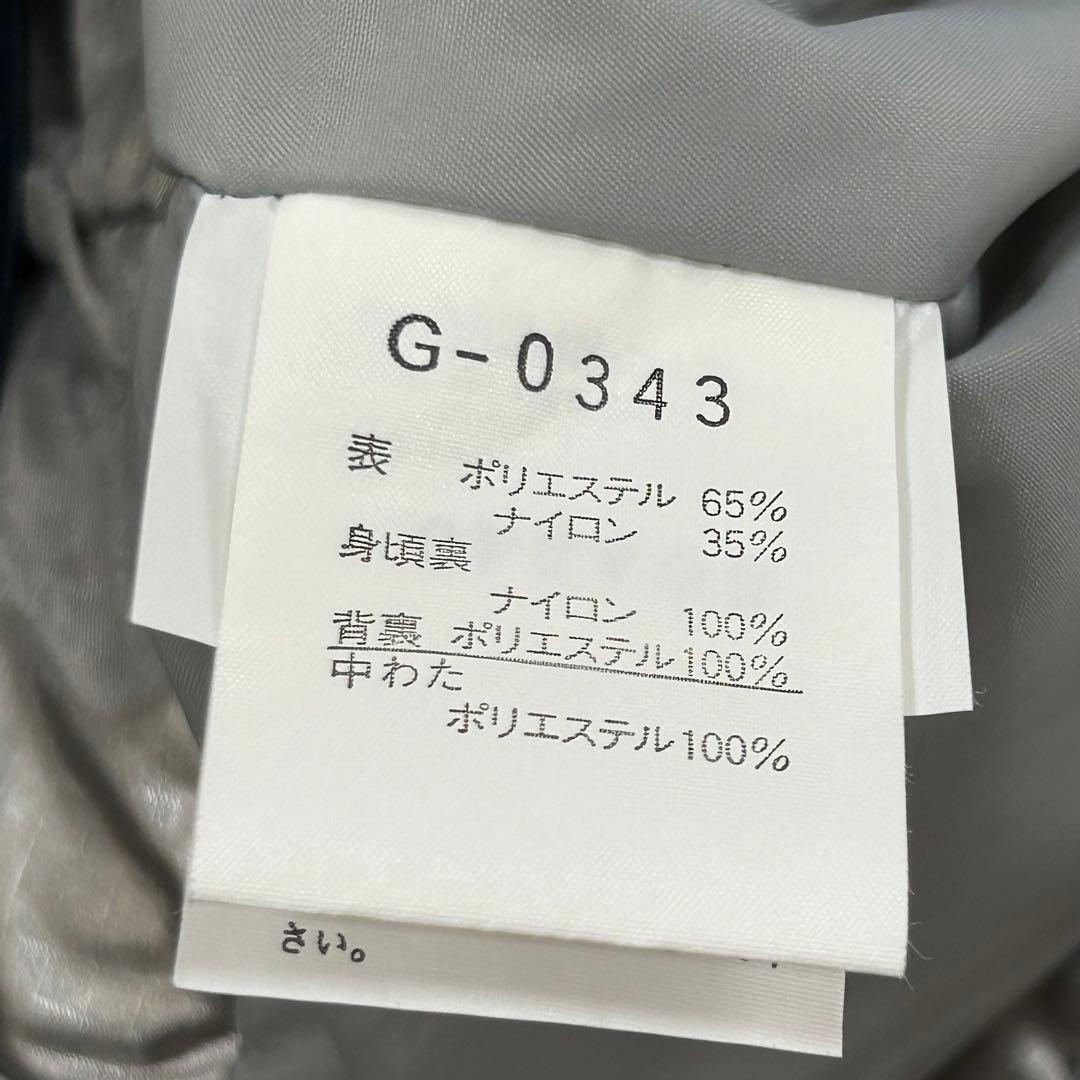 m5952【ゴールドウイン 日本代表 ナショナルチーム】スキーウェア 上下 L