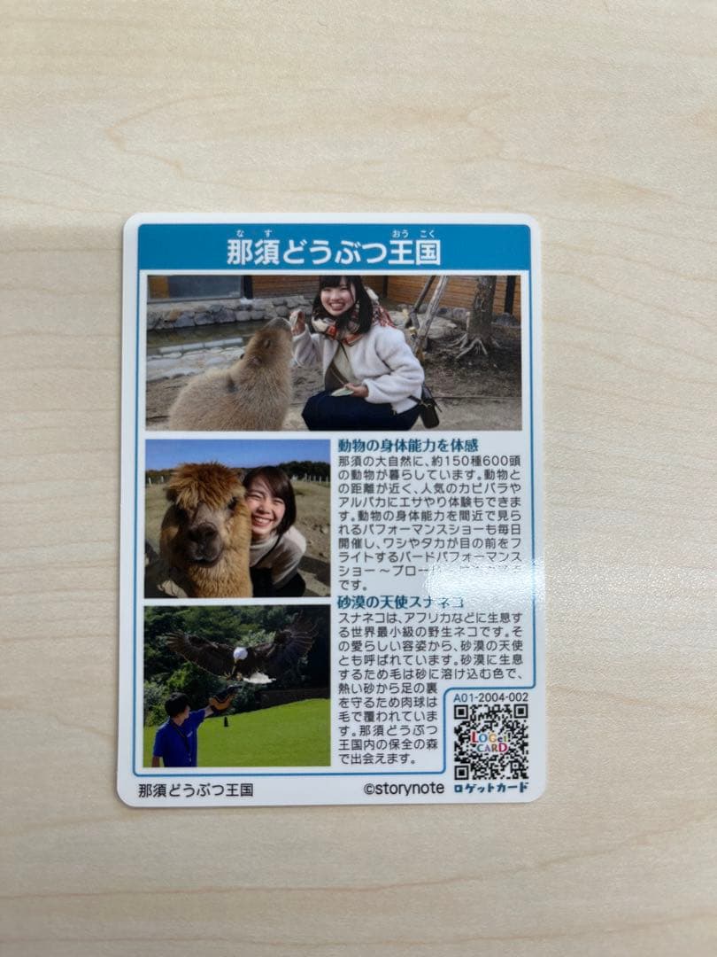 ロゲットカード　スナネコ　那須どうぶつ王国　栃木県那須